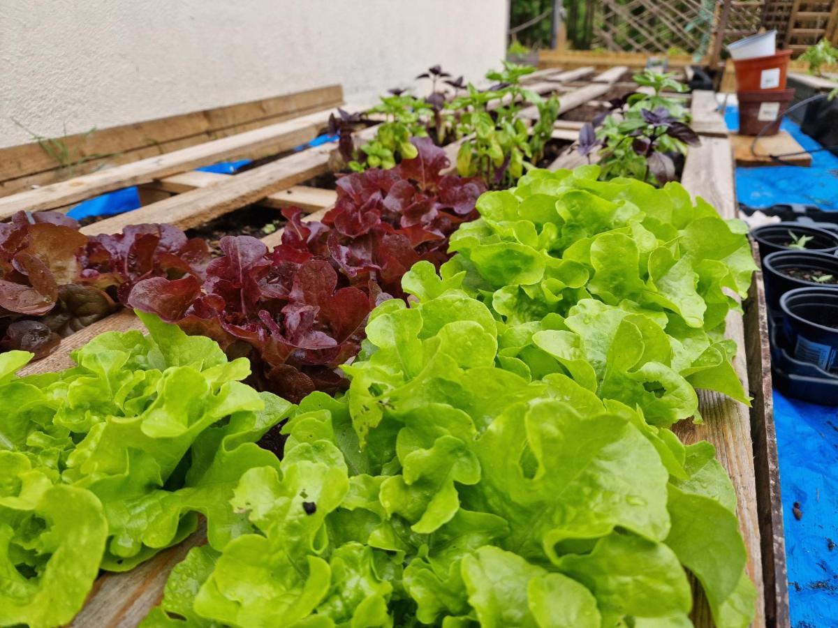 La Forestine Bergerac Ngoại thất bức ảnh