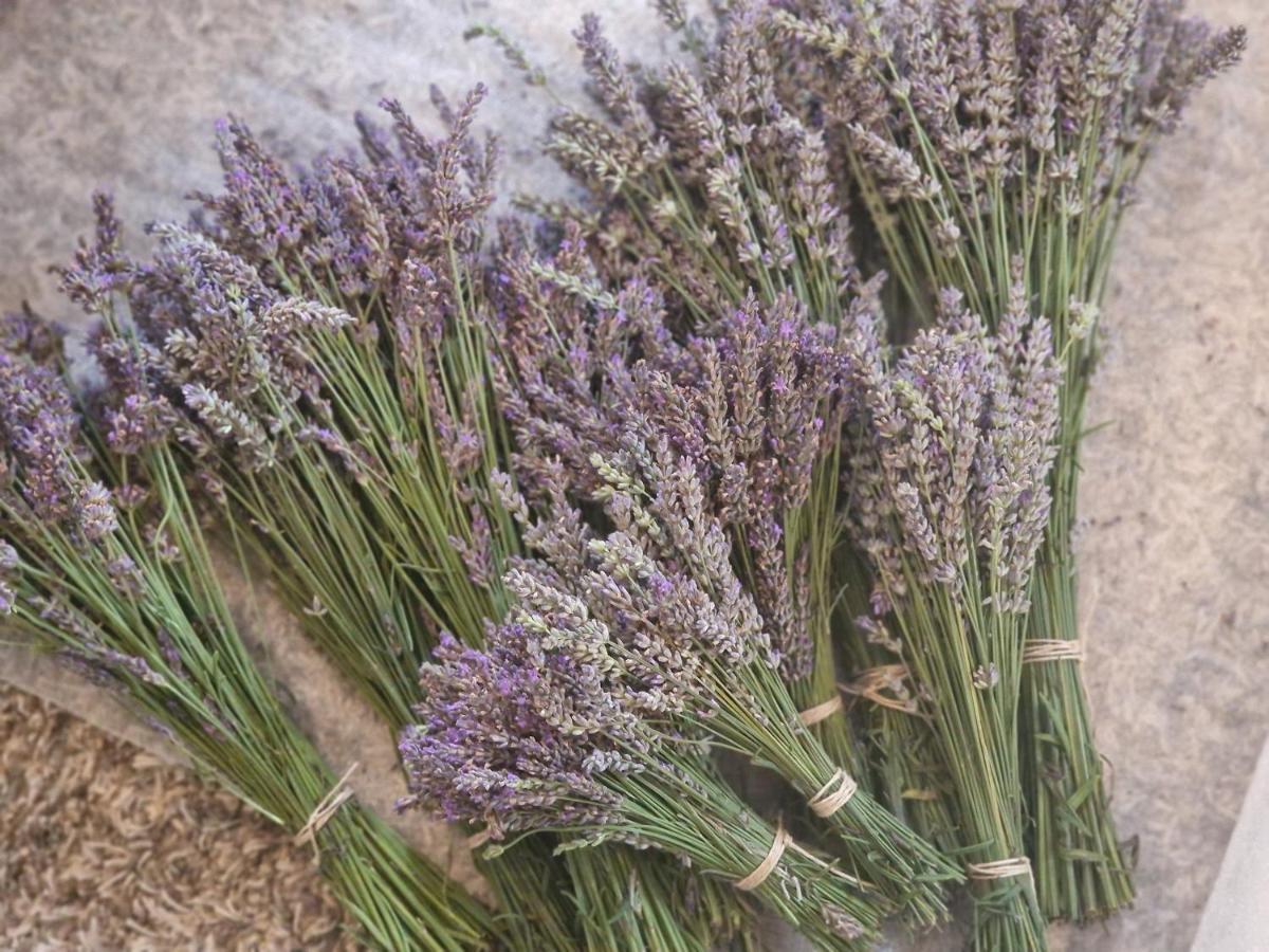 La Forestine Bergerac Ngoại thất bức ảnh